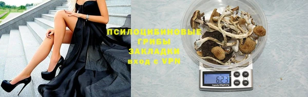 шишки Алзамай