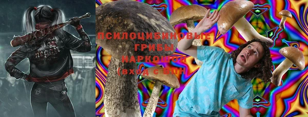 МДПВ Абдулино