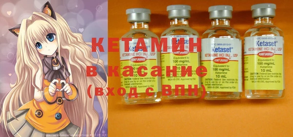 шишки Алзамай