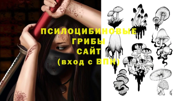 шишки Алзамай