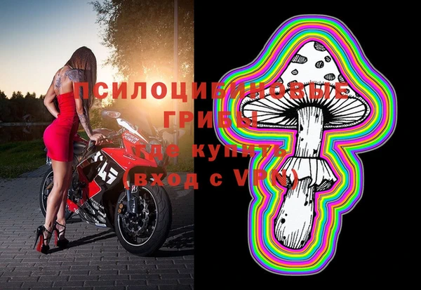 эйфоретик Абаза