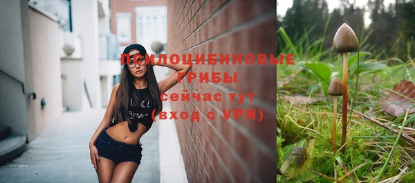шишки Алзамай