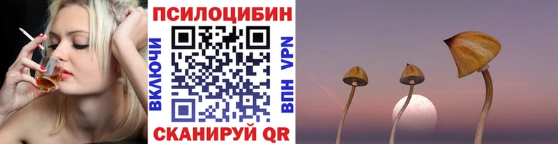 Псилоцибиновые грибы мицелий  Тимашёвск 